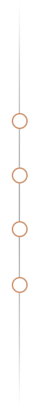Vertical timeline with four brown circles evenly spaced along a thin gray line.